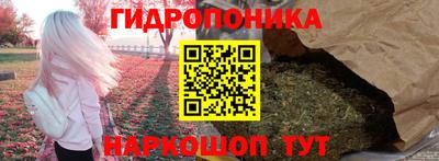 прущие грибы Ипатово