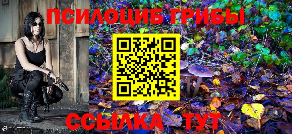 Псилоцибиновые грибы Psilocybe  Вход с VPN  Псилоцибиновые грибы Psilocybe  Алапаевск 
